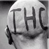 THC Pothead