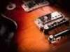 Freebird
