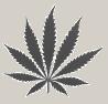 nvstoned