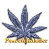 PeacefulInhaler