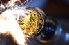 Infinite Weed