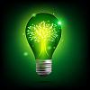 Cleargreen