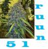 ruun51