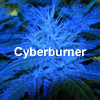 Cyberburner