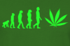edenpro