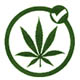 AlwaysStoned