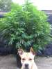GroWForFunN
