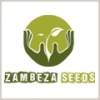 Zambeza Seeds