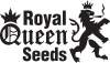 royalqueenseeds