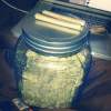 SODMG