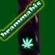 brammabis sativa