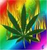Smok3Weed
