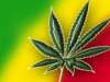 GreenHaze