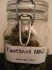 fastbudnr2