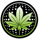 Silver Haze