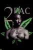SpaceHaze123