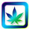 Cannahopper