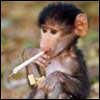 MrMonkE