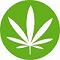 WorldWideWeed