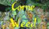 CorneWeed