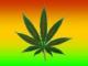 MarvinZwart