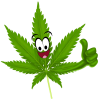 Grower72