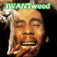 IWANtweed