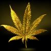 Blazeit420