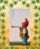 De Kannabis Kabouter