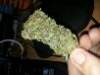 appeljuice420