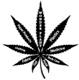 johnhomegrower