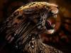 9lives