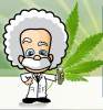 PotHead Sativa