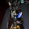 007jack