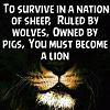 like a lion