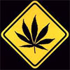 NoviceGrower