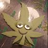 Stoner72