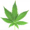 GreenBio