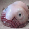 J026l