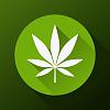 Cannsutra