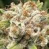 MRDAW420