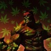 AC grower