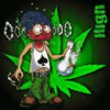 THC Dude