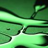 Shades of Green