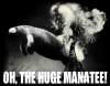 manate