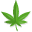 Cannabis Soorten Database
