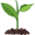 Growshop